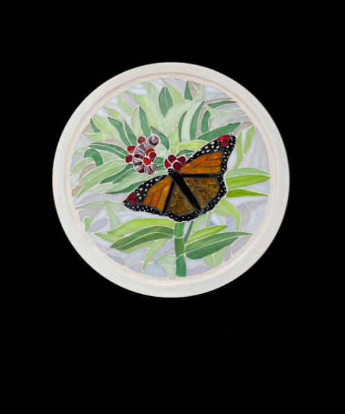 Monarch in a field of milkweed