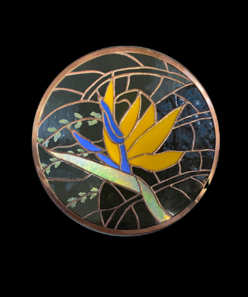 A bird of paradise flower blooming in the garden