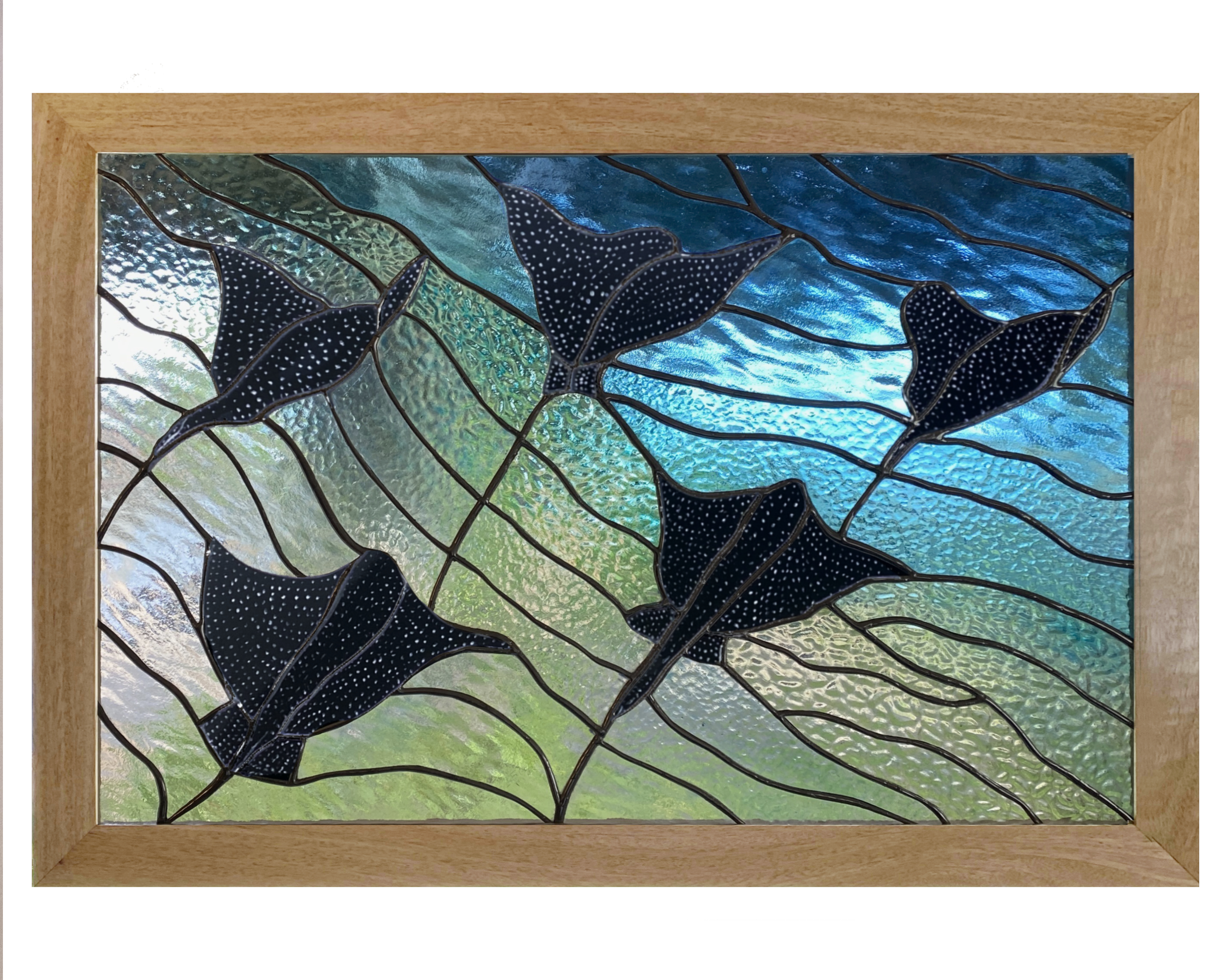 Spotted eagle rays swim towards deep water on Maui